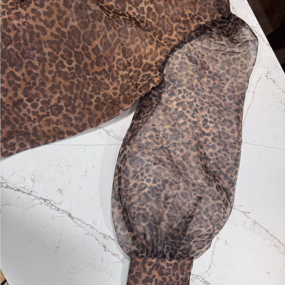 Rachel Zoe Brown Leopard Print Blouse with Sheer Sleeves - Picture 2 of 5